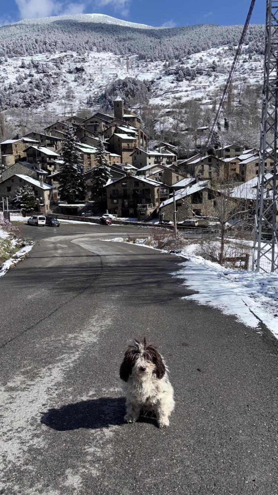 Hotel Valls Valira Os de Civís Dış mekan fotoğraf