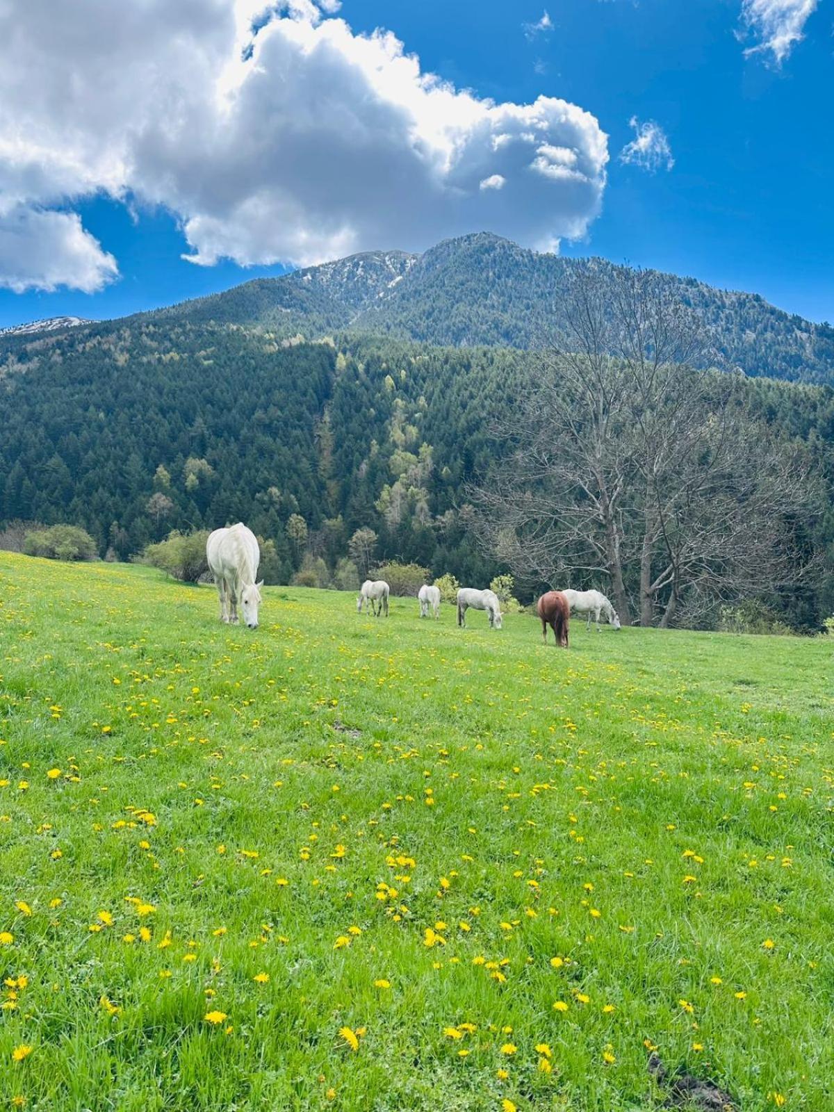 Hotel Valls Valira Os de Civís Dış mekan fotoğraf